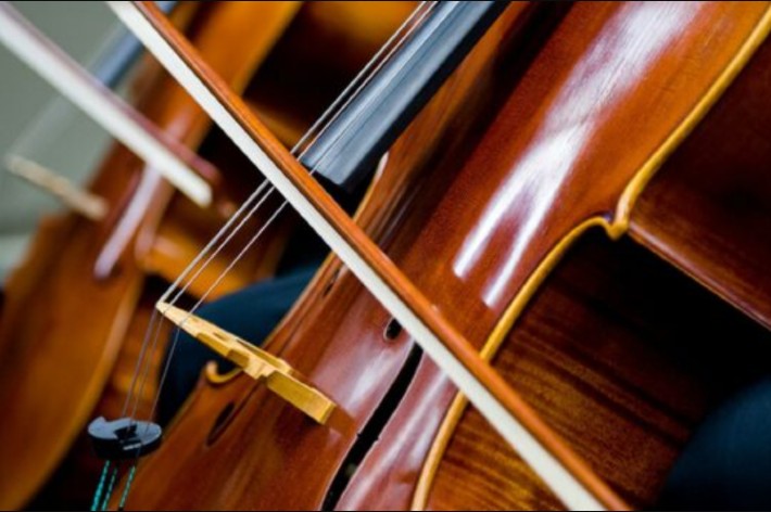The Best Cello Strings for Beginners - American Songwriter