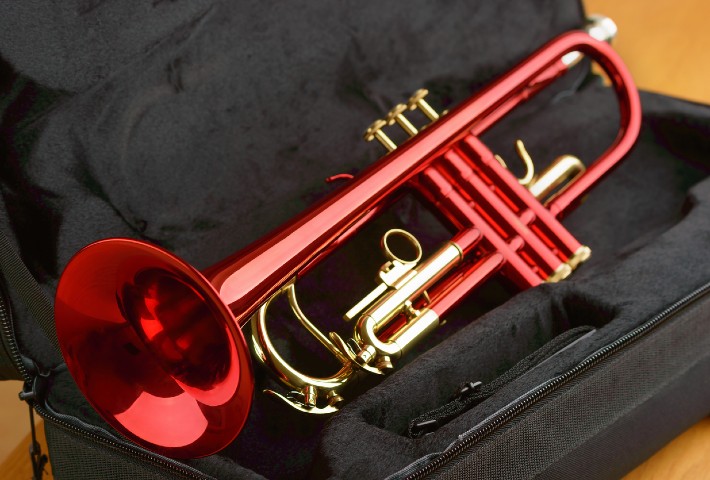 NEW PROFESSIONAL Bb BUGLE BRASS WITH BLACK SOFT LEATHER CASE