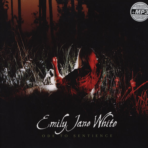 Emily Jane White: Ode to Sentience