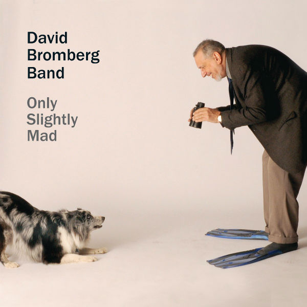 David Bromberg Band: Only Slightly Mad