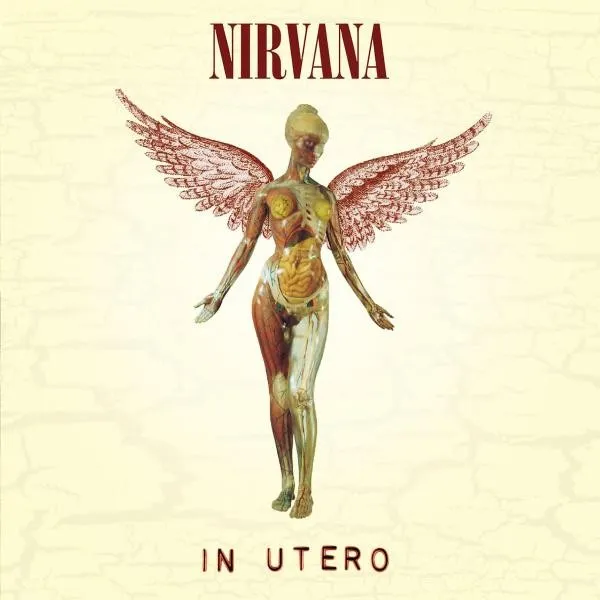 Nirvana: In Utero: 20th Anniversary Edition