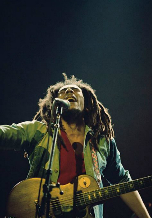 Bob Marley Redemption Song Metal Print