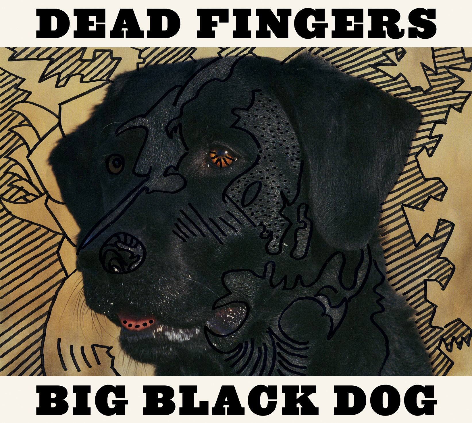 Album Premiere: Dead Fingers Big Black Dog