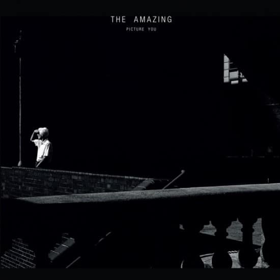 The Amazing: Picture You