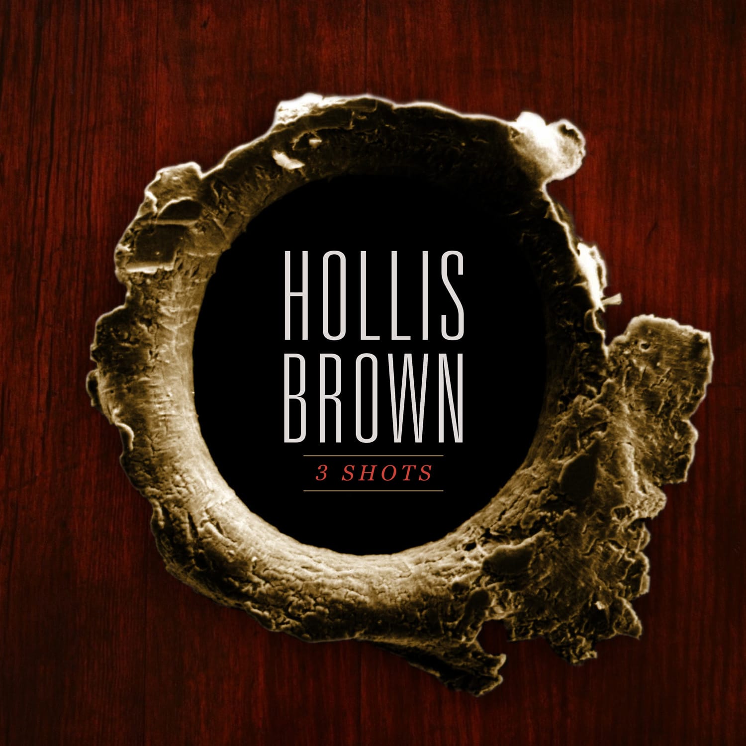 Hollis Brown: 3 Shots