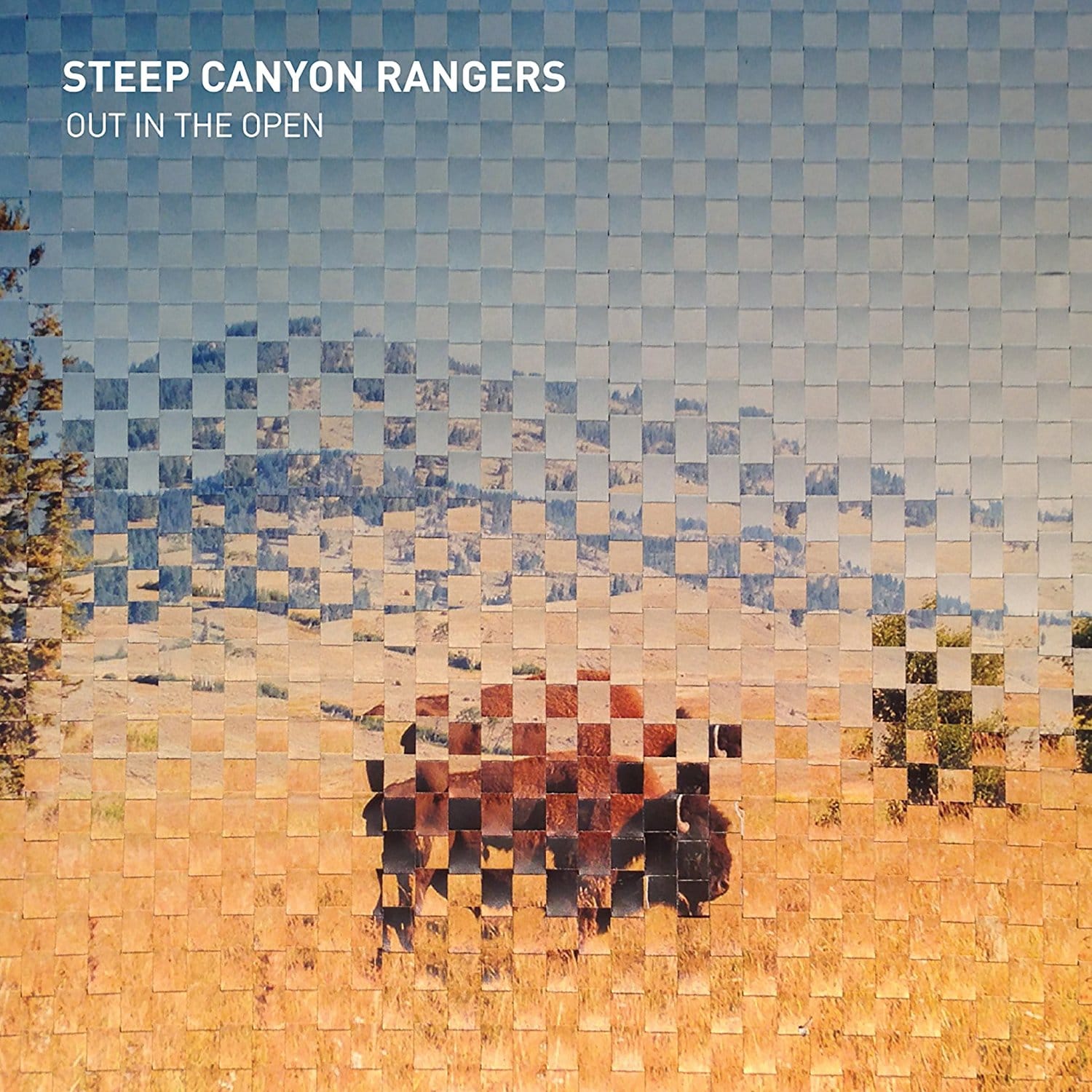 Steep Canyon Rangers: Out In The Open