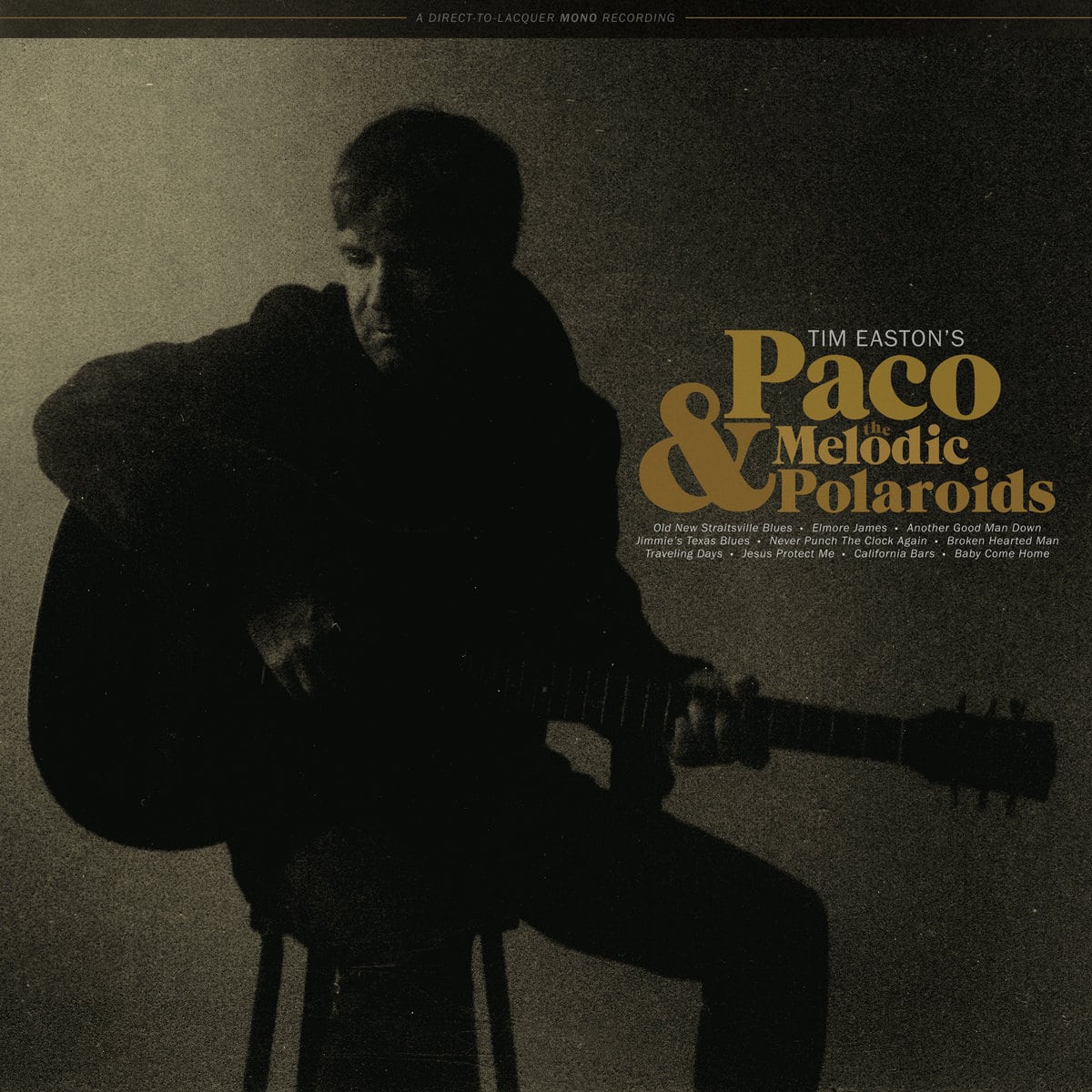 Tim Easton: Paco & the Melodic Polaroids