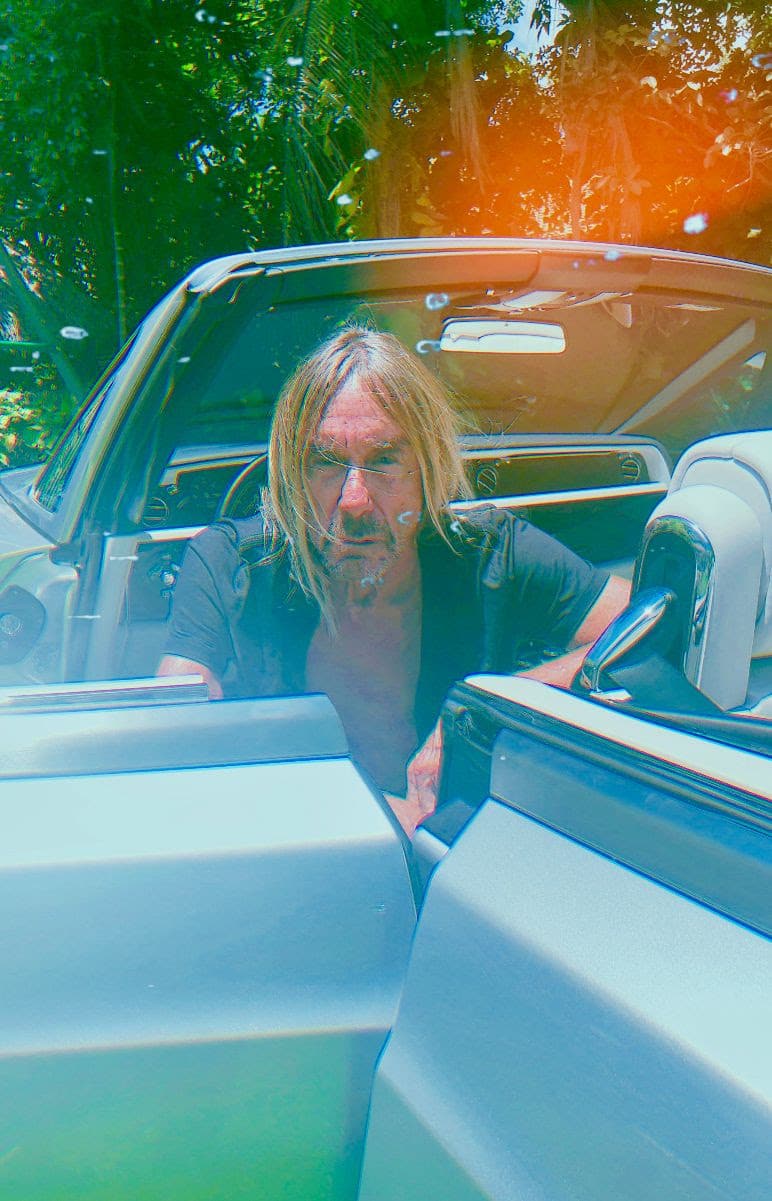 Iggy Pop Announces New Record Free and Releases Title Track