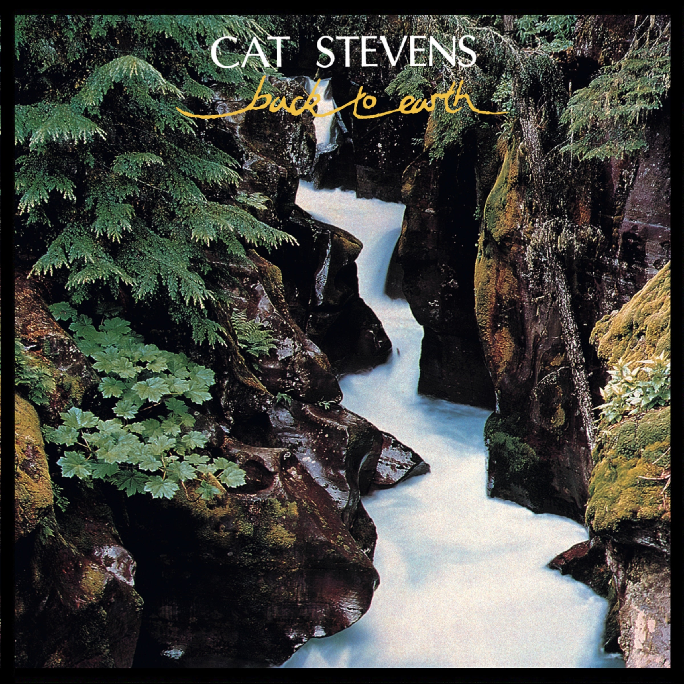 Cat Stevens’ ‘Back To Earth,’ Now Being Reissued, Features A Handful of  Gems
