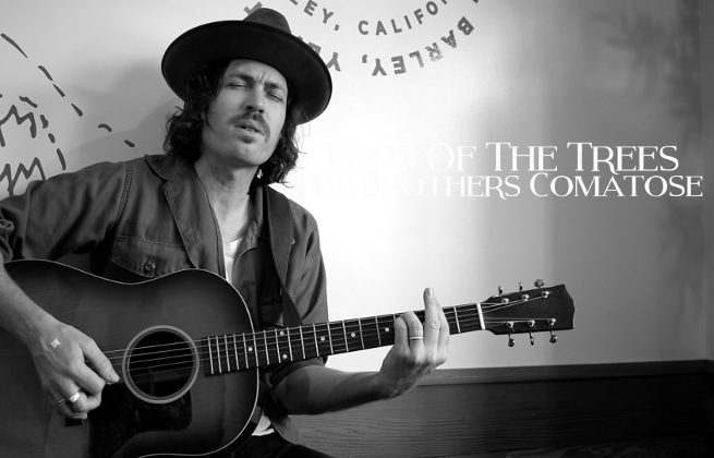 The Brothers Comatose Release Acoustic “Tops of the Trees” Prior to Playing “Comatopia By The Bay”
