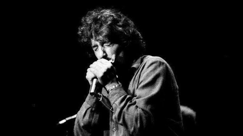 The 11 Best Harmonica Players Ever
