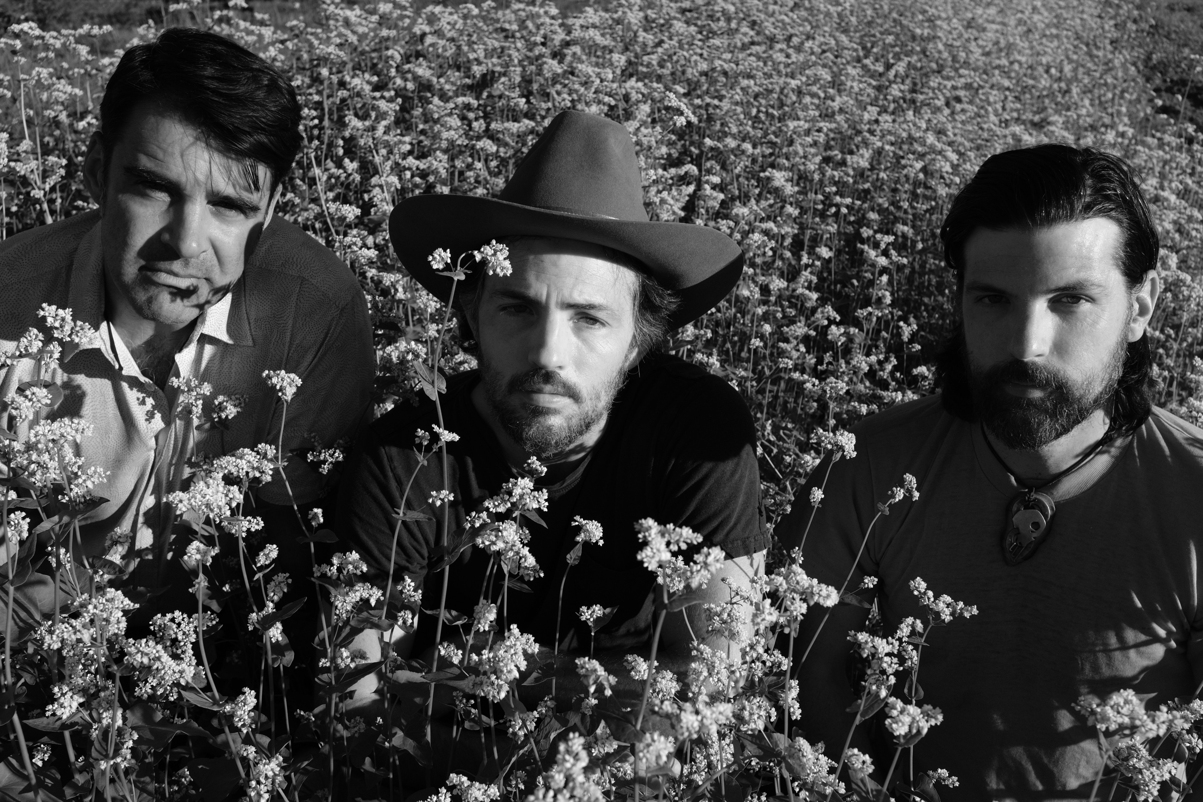 Avett Brothers Come Up With a Glimmer Through a Gleam