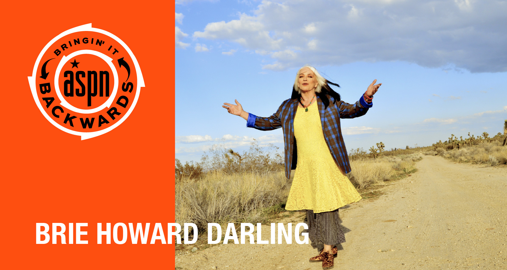 Bringin’ it Backwards: Interview with Brie Howard Darling