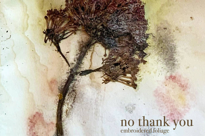 Kaytee Della Monica Breaks Down No Thank You’s ‘Embroidered Foliage’ LP