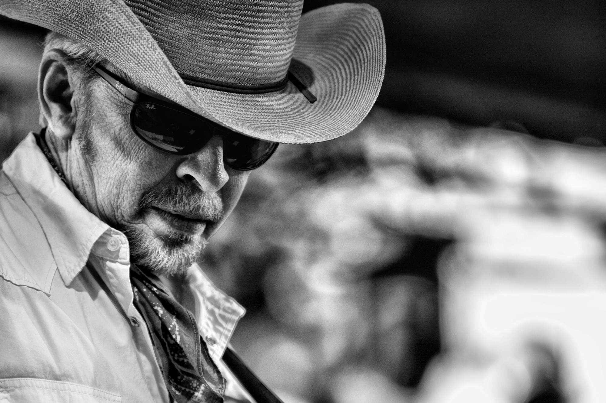 Dave Alvin: On Songwriting, Speculation and Maintaining His Own Muse