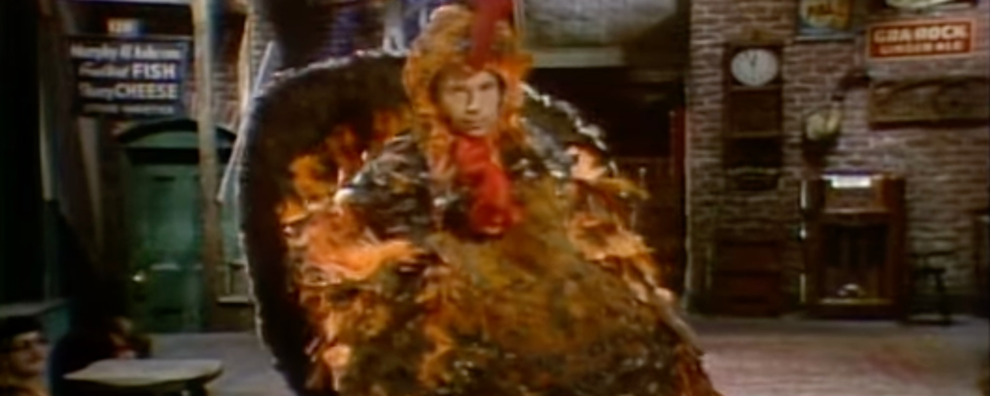 Paul Simon As A Turkey On Snl Boxer Paul Simon Snl