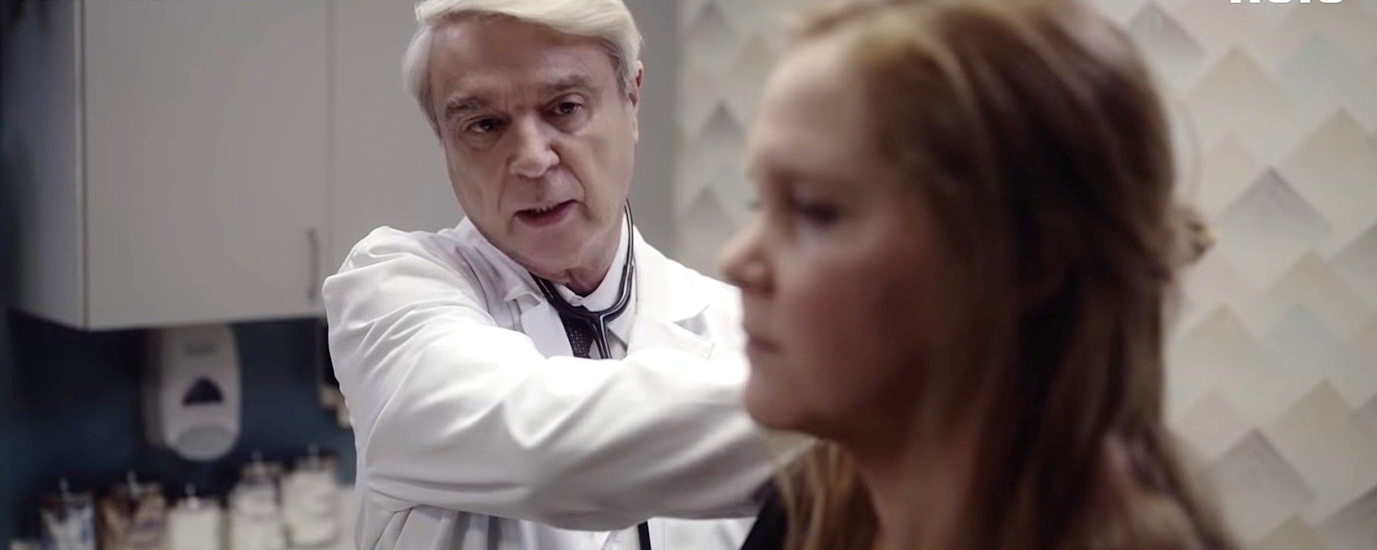 David Byrne Stars in New Amy Schumer Series ‘Life & Beth’