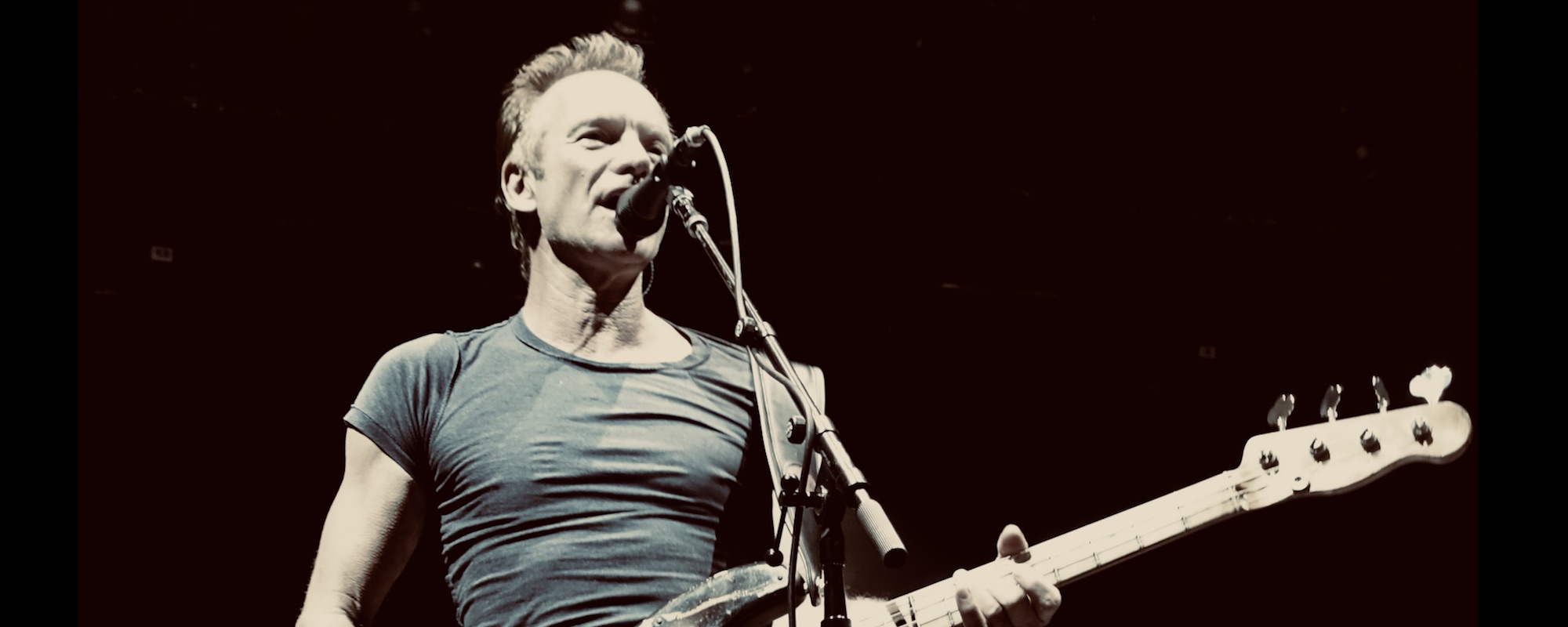 Sting Warns That Democracy is in “Grave Danger” at Recent Concert