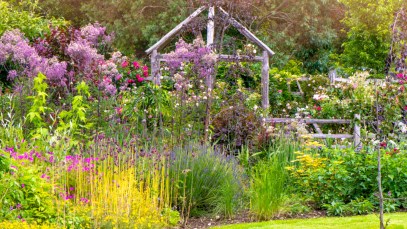 A scenic landscape of wildflowers where children might sing the song "Mary, Mary, Quite Contrary."