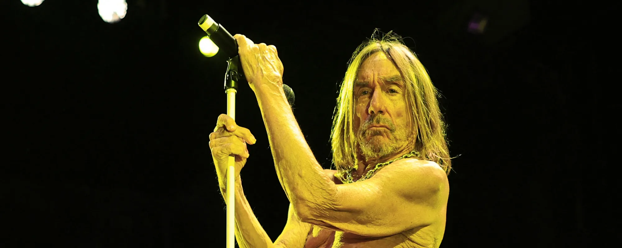 Iggy Pop Says He Almost Joined AC/DC in 1980