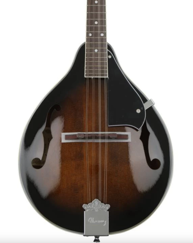 6 Best Beginner Mandolins + Where to Find Online Lessons {2024}