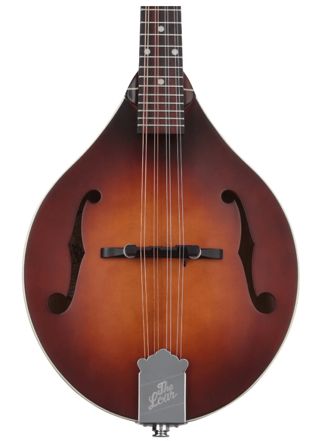 6 Best Beginner Mandolins + Where to Find Online Lessons {2024}