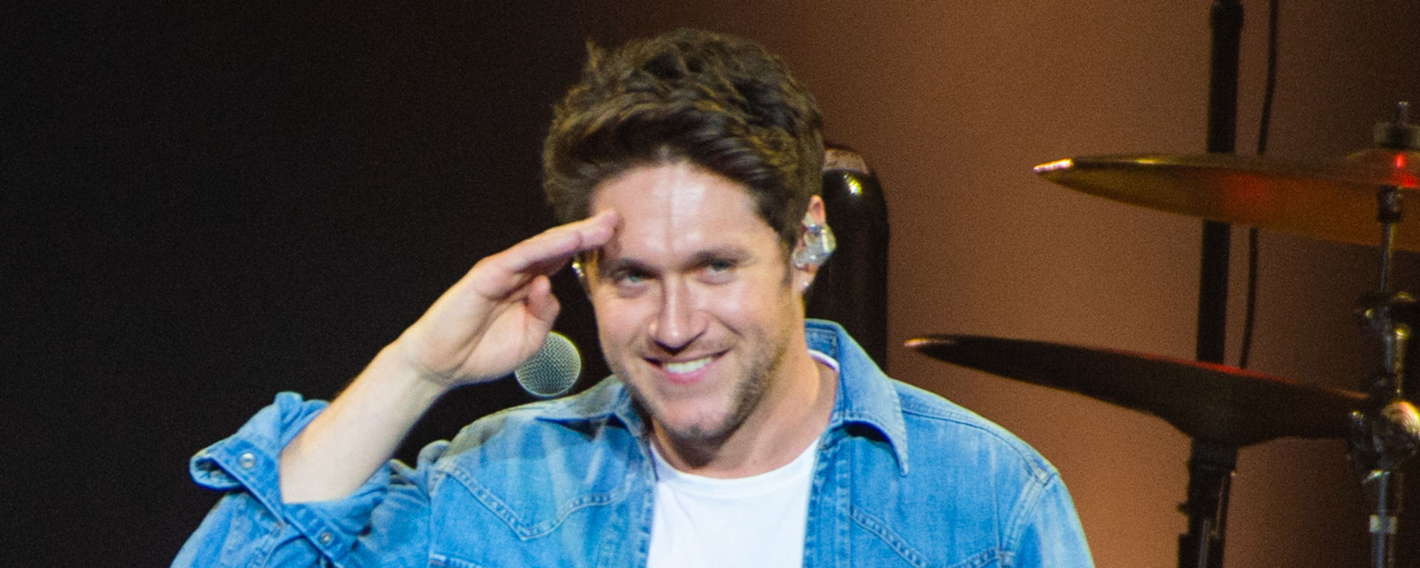 Niall Horan Supports Lewis Capaldi Following Decision to Take a Break From Touring