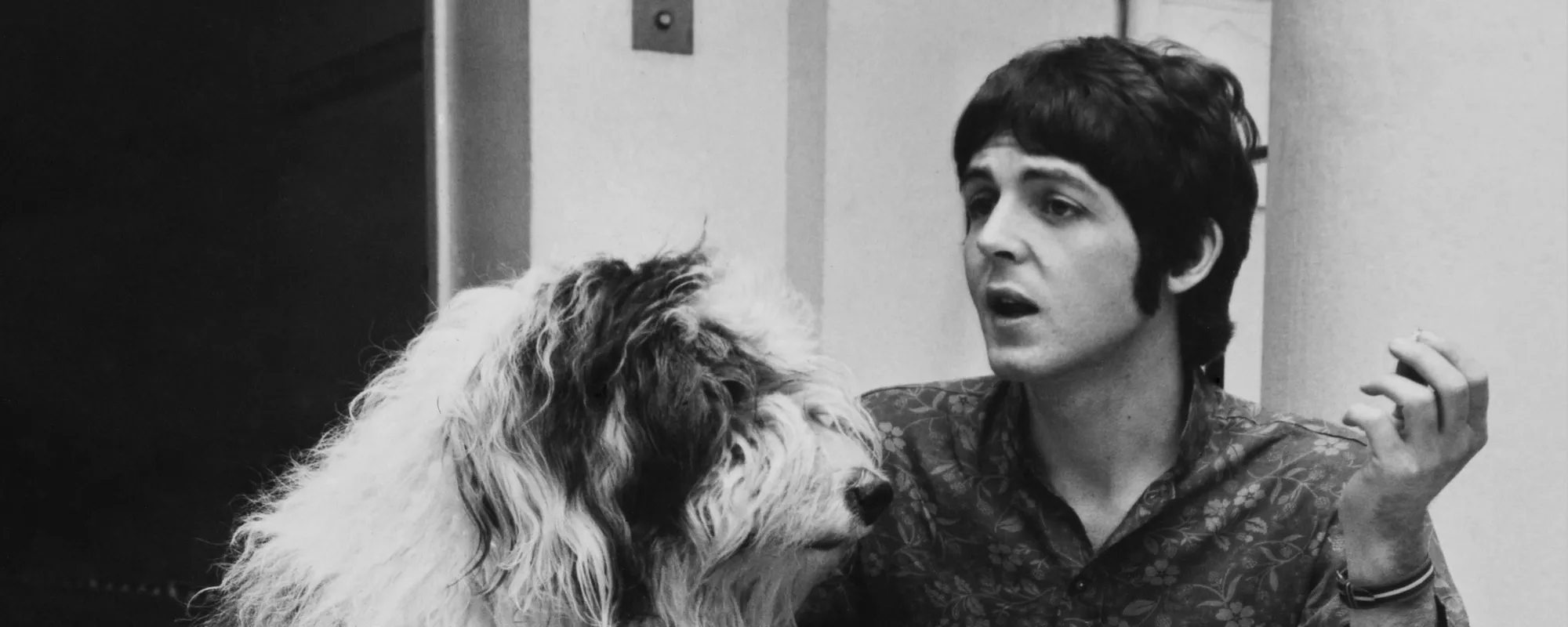 3 Rock Stars and the Dogs They Made Famous Through Song