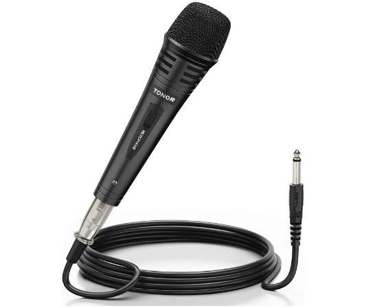 5 Best Karaoke Microphones of 2024 {Bluetooth & XLR)