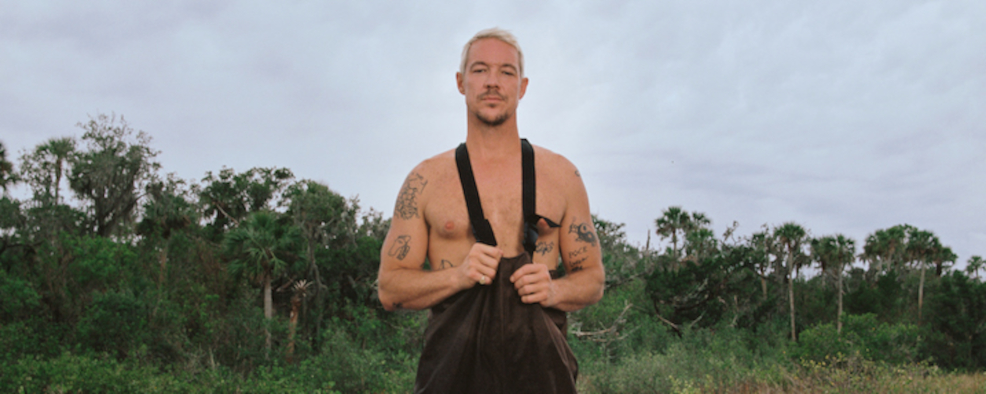 5 of Diplo’s Best Collaborations