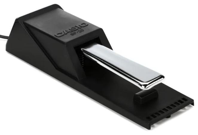 Roland DP-10 Piano-style Sustain Pedal with Half-damper Control - Bill's  Music