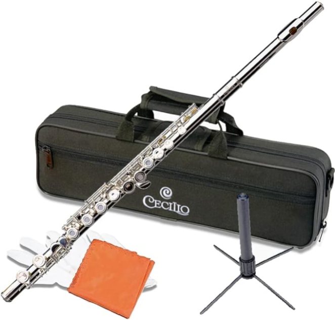 Cecilio Closed Hole C Flute for Beginners