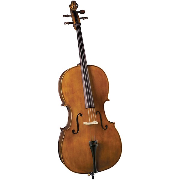 Best beginner outlet cello