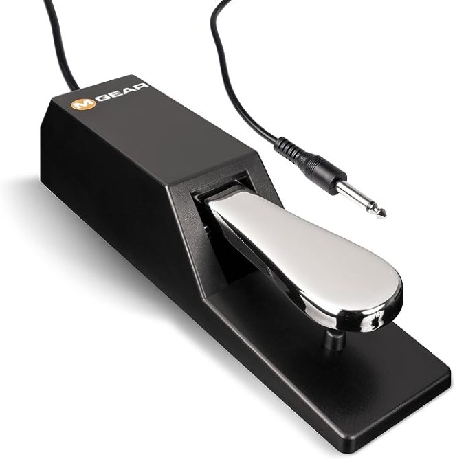 CAHAYA Sustain Pedal for Digital Keyboards & Piano Pedals for Musical  Instruments