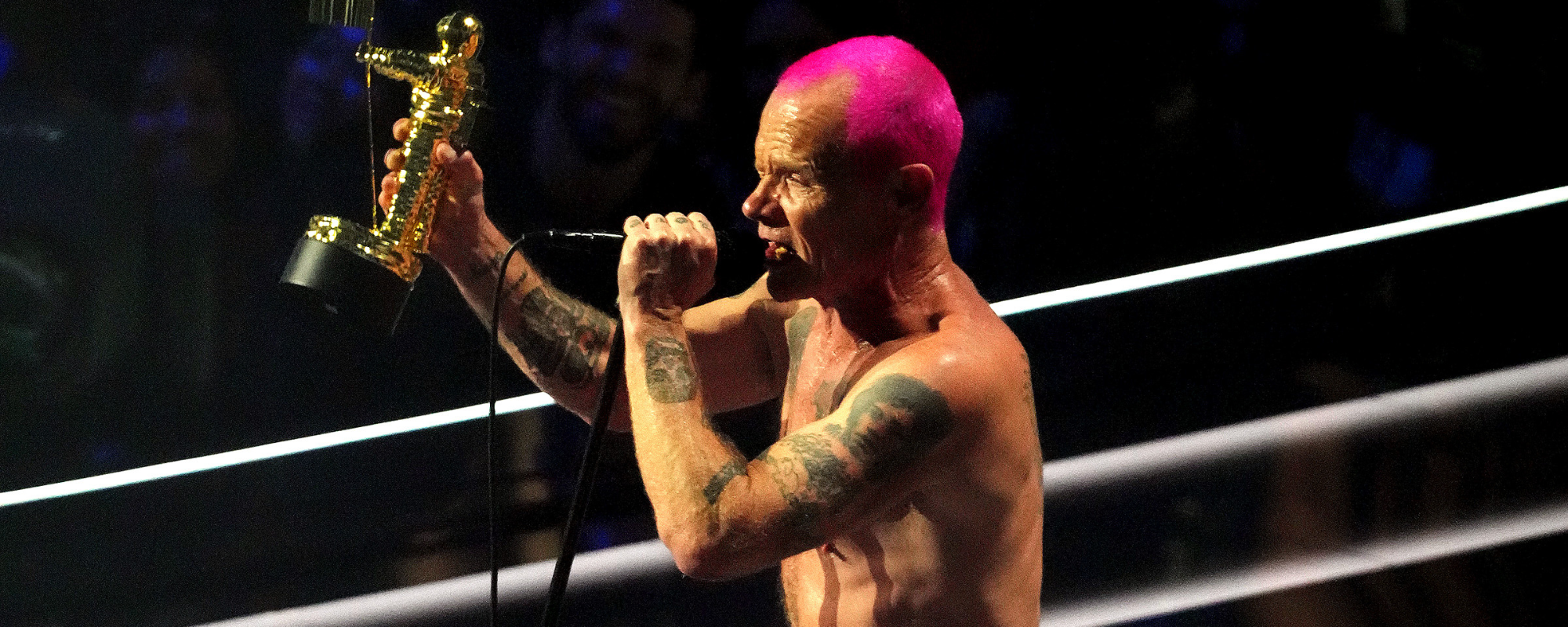 Songs You Didn’t Know Red Hot Chili Peppers Bassist Flea Played On