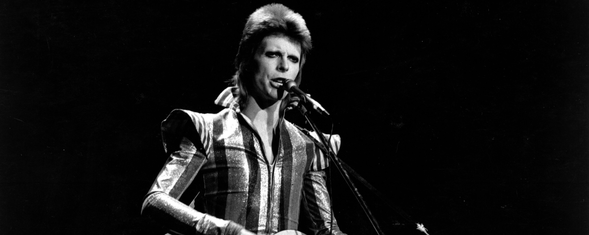 3 Musicians That Disliked David Bowie