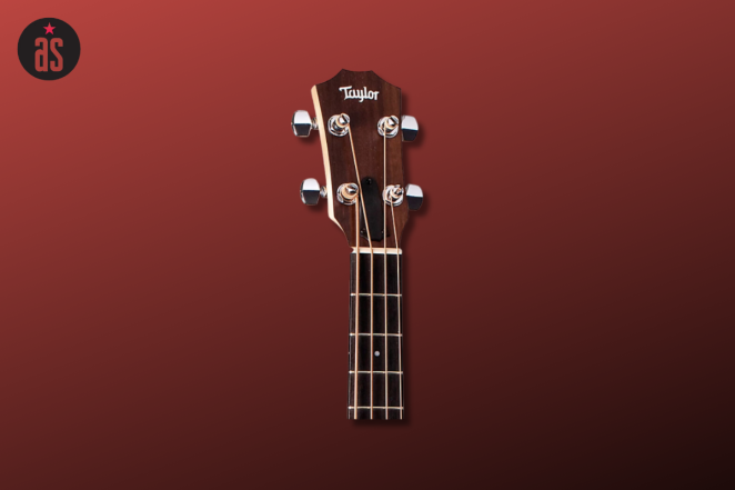 Taylor GS Mini-E Bass