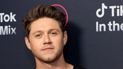 Niall Horan and Louis Tomlinson Unfollow Simon Cowell After One Direction Comments