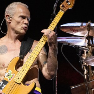 Flea