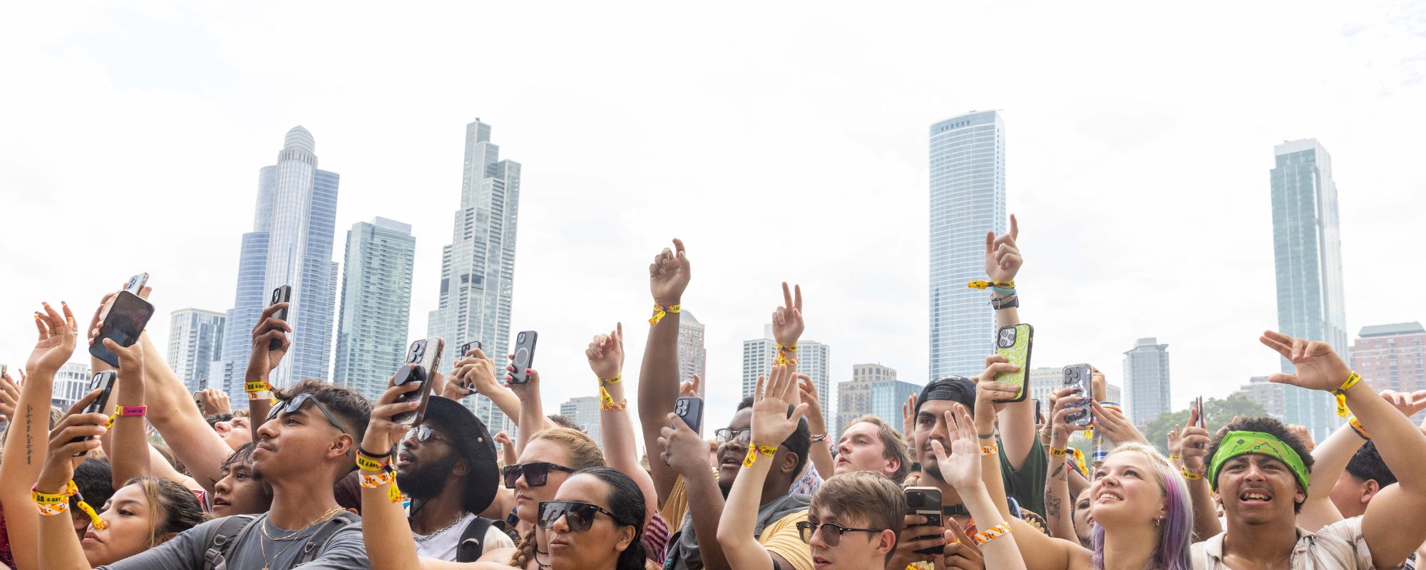 Crowd at Lollapalooza