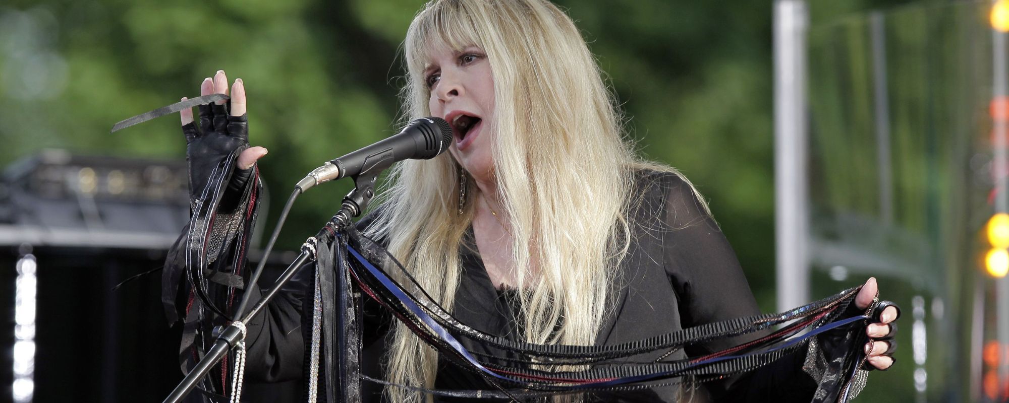 A Busy Day for Stevie Nicks: Music Icon Announces New Single and Upcoming Show With Billy Joel