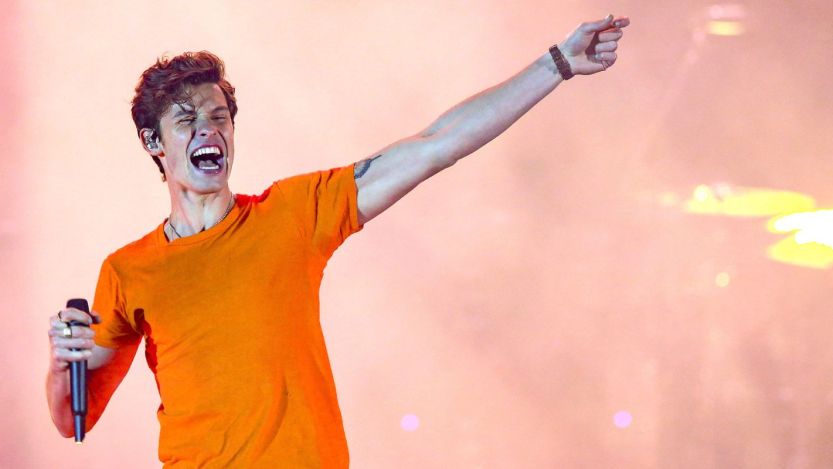 Shawn Mendes 2024 VMAs Performance