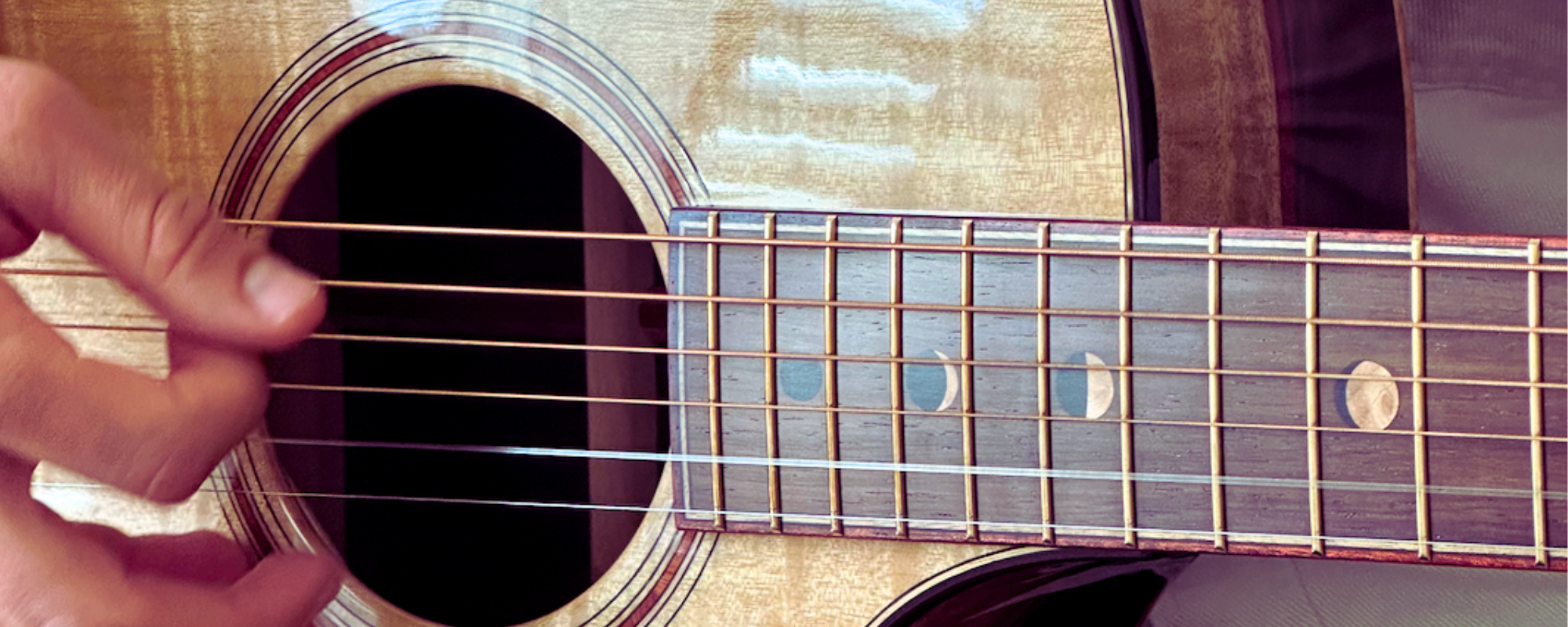 breedlove myrzilian 2 review