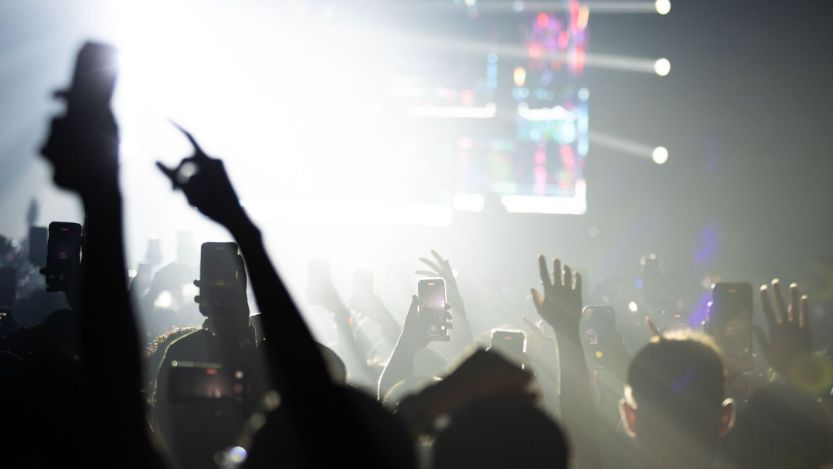 Fans at live music concert