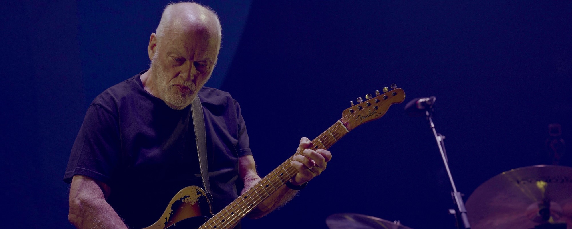 Rock Icon David Gilmour Says He Was "Bullied" Into Making Final Pink ...