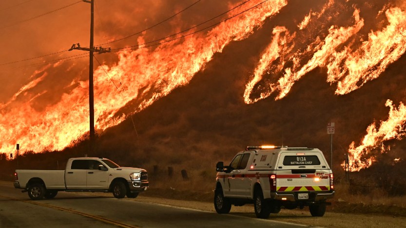 HED: Cultured, Saltwater, and Shopify Announce a $1 Million Los Angeles Artist Relief Fund