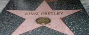 Vandals Deface Elvis Presley’s Star on the Hollywood Walk of Fame