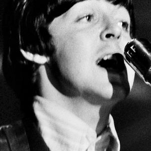 Paul McCartney's Fascination With Birds in 3 Songs
