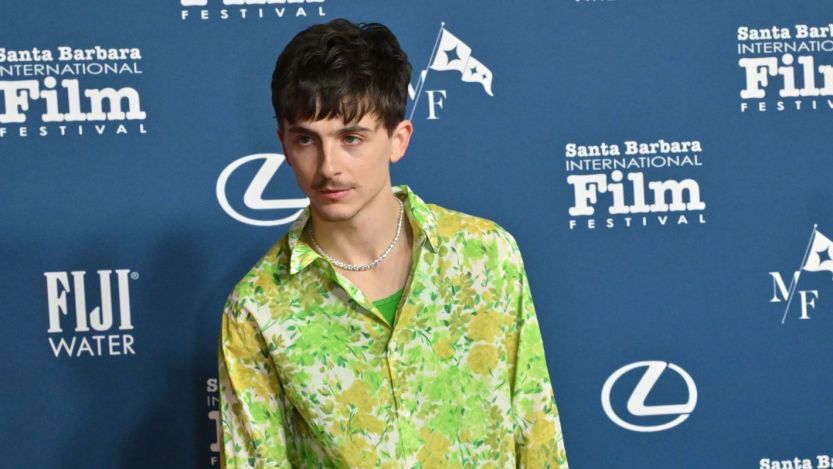 Timothee Chalamet Learned To Play Like Bob Dylan on a $200 Yamaha Guitar