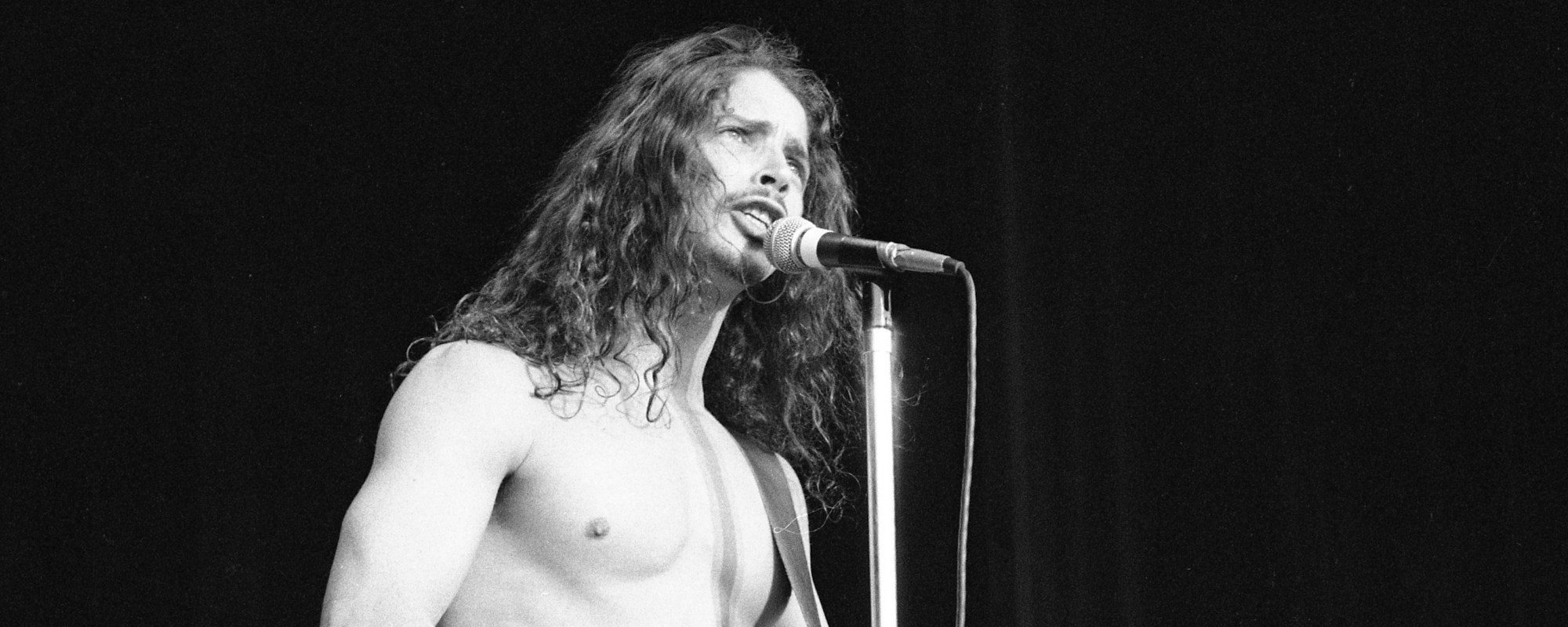 3 فائزين بجائزة Classic Rock GRAMMY من عام 1995، ما زلنا نحبهم 3 فائزين بجائزة Classic Rock GRAMMY من عام 1995، ما زلنا نحبهم